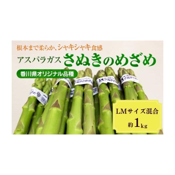 容量約1kg（L・Mサイズ混合）消費期限発送から冷蔵7日発送期日2026年3月10日〜6月10日配送冷蔵 別送申込期日2026年05月20日まで事業者株式会社五色青果　東かがわ営業所申込条件何度も申し込み可