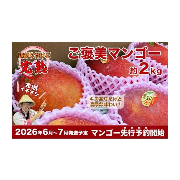 容量アップルマンゴー　2kg原産国／製造国：日本沖縄県産地（都道府県）：沖縄販売形態：訳あり販売者：一般社団法人　南城市観光協会 南城市地域物産館　沖縄県南城市知念字久手堅539番地消費期限青果物ですので到着後お早めにお召し上がりください。...