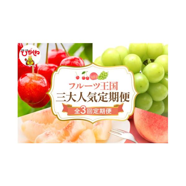 桜桃　10月② ふるさと納税 果物類 さくらんぼ 山形県 東根市 2026年 先行予約 3回