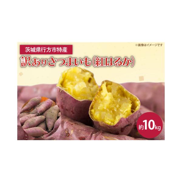 ふるさと納税 野菜類 サツマイモ 茨城県 行方市 茨城県産 紅はるか 訳