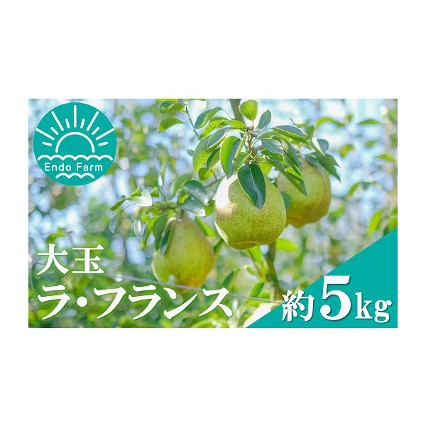容量ラ・フランス等級：特秀容量：約5kg(12〜16玉)サイズ：3L〜5L※サイズはお選びいただけませんのでご了承ください。消費期限追熟後は、お早めにお召し上がりください。発送期日令和8年11月上旬〜12月上旬にかけて順次発送予定※生育状況...