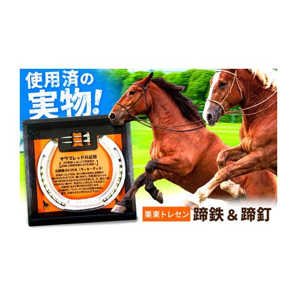 ふるさと納税 雑貨・日用品 滋賀県 栗東市 競馬 JRA／日本中央競馬会 競走馬が使用した蹄鉄と蹄釘のセット ／ 栗東トレセン サラブレッド 競馬ファン 競馬グッ…