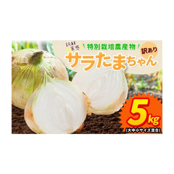 容量約5kg(5kg×1箱) 大中小サイズ混合発送期日2026年4月中旬~5月末頃出荷配送常温 時間指定 別送申込期日5月初旬頃まで(予定数量に達し次第受付終了)事業者-申込条件何度も申し込み可