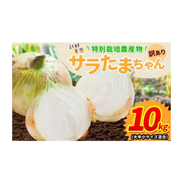 容量約10kg(10kg×1箱) 大中小サイズ混合消費期限お早めにお召し上がりください。発送期日2026年4月中旬~5月末頃出荷配送常温 時間指定 別送申込期日5月初旬頃まで(予定数量に達し次第受付終了)事業者-申込条件何度も申し込み可