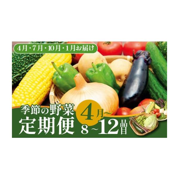 容量季節の野菜や加工品8〜12品をお届け【お届け例】春（４月〜６月）：アスパラガス、かぶ、レタス、山菜、トマト、きゅうり夏（７月〜９月）：枝豆、トウモロコシ、なす、オクラ、かぼちゃ、ばれいしょ、たまねぎ、ピーマン秋（10月〜12月）：里芋、...