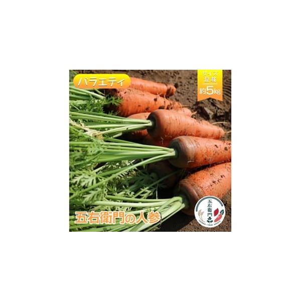 容量人参約5kg（SS〜LLサイズ混載　20本前後）※品種いろいろ混載となります消費期限到着後は、乾燥を防いで涼しい場所または冷蔵庫（野菜室）などで保管ください。発送期日寄附納入確認後、一ヶ月以内に発送します。※生産の都合で前後する場合があ...