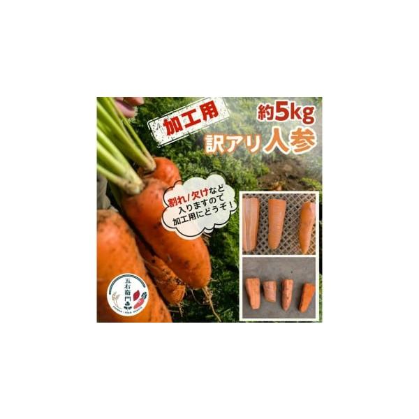 容量人参（規格外）約5kg （SS〜LLサイズ混載）※品種・サイズ・形とも混載となります。消費期限到着後は、乾燥を防いで涼しい場所または冷蔵庫（野菜室）などで保管ください。※土付きではありません発送期日寄附納入確認後、一ヶ月以内に発送します...
