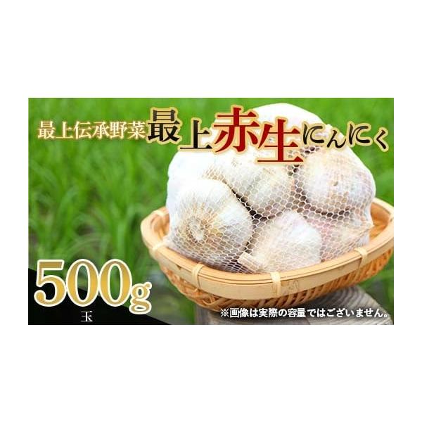 容量最上赤生にんにく 500g（玉）消費期限製造・加工後30日以内発送期日2026年6月下旬〜7月上旬に順次発送※天候や収穫状況により変更になる場合があります。配送冷蔵 時間指定 別送申込期日2026年6月20日まで事業者リルストーリア申込...