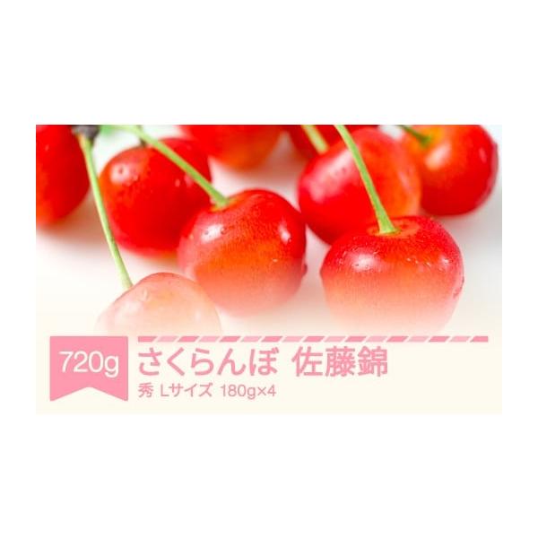 容量Lサイズ 720g(180g×4) 秀消費期限発送より3日発送期日6月上旬から順次発送配送冷蔵 時間指定 別送事業者佐竹物産株式会社申込条件何度も申し込み可