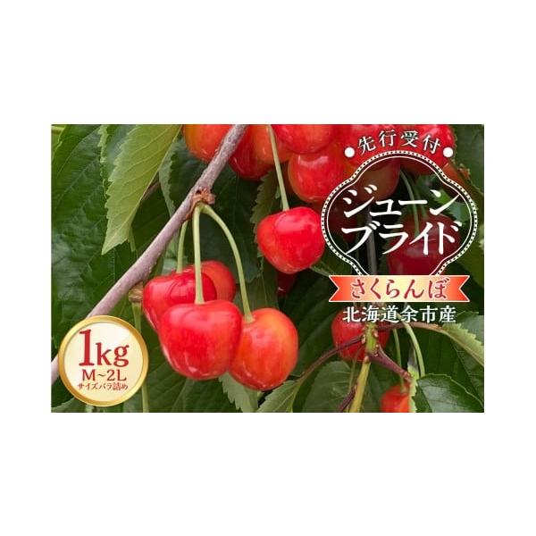 容量さくらんぼ「ジューンブライド」（M〜2Lサイズバラ詰め）500ｇ×2パックを段ボール1箱に梱包して冷蔵便にてお送りいたします。消費期限【賞味期限】発送日より冷蔵保存で4日間※お早めにお召し上がりください。発送期日2026年6月下旬頃※天...