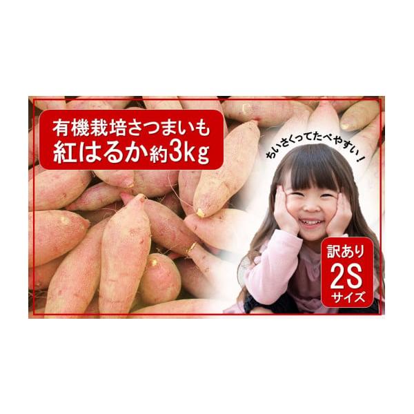ふるさと納税 野菜類 サツマイモ 大分県 国東市 先行予約 訳あり