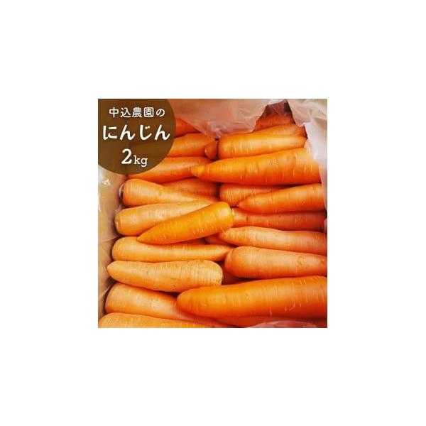 容量5kg消費期限生ものなので、お早めにお召し上がりください。発送期日寄附納入確認後、一カ月以内に発送します。配送常温 時間指定 別送申込期日2026年２月8日まで※オンライン決済以外は 2026年1月26日 まで、オンライン決済は 202...