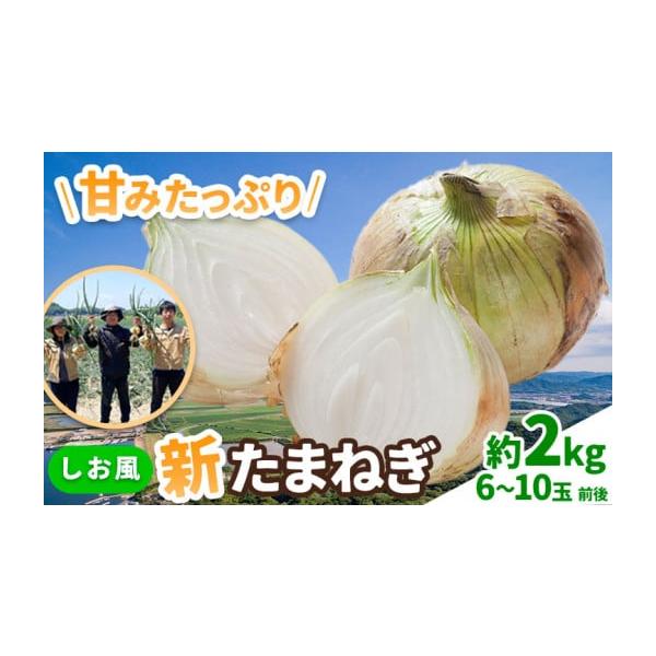 容量約2kg(6〜10玉前後)消費期限お早めにお召し上がりください。発送期日《5月中旬-6月上旬頃出荷》配送常温 時間指定 別送申込期日5月中旬頃まで事業者-申込条件何度も申し込み可