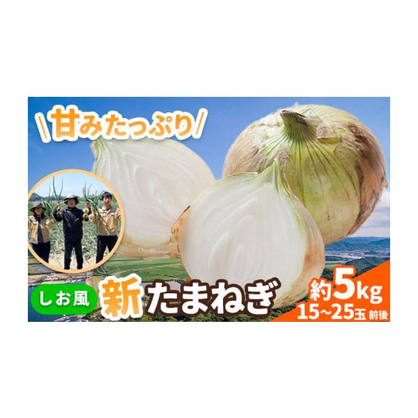 容量約5kg(15〜25玉前後)消費期限お早めにお召し上がりください。発送期日《5月中旬-6月上旬頃出荷》配送常温 時間指定 別送申込期日5月中旬頃まで事業者-申込条件何度も申し込み可