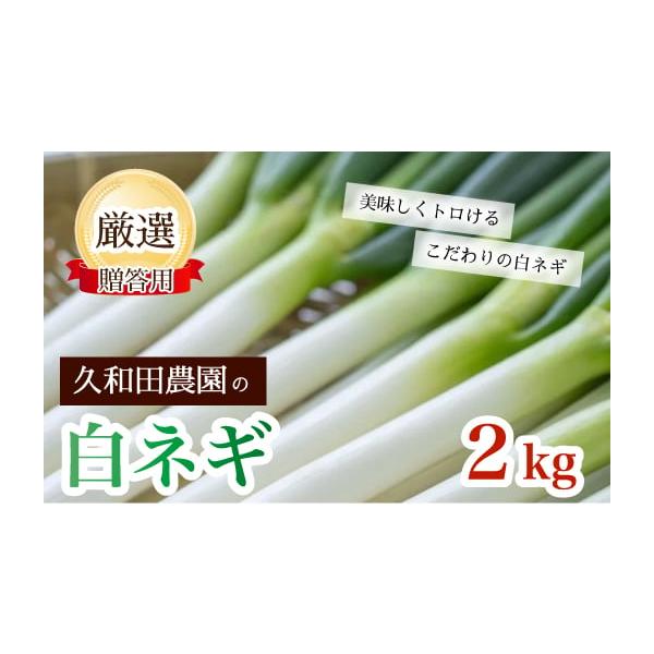 容量白ネギ２Kg（1本50〜100g程度 10〜20本程度）消費期限発送日から2週間（フレッシュな状態は1週間です）発送期日配送常温 別送申込期日2026年1月18日まで事業者久和田農園申込条件何度も申し込み可