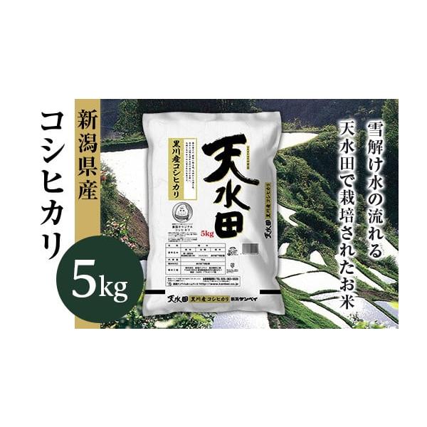 27-56D【6ヶ月連続お届け】新潟県黒川産コシヒカリ5kg【天水田