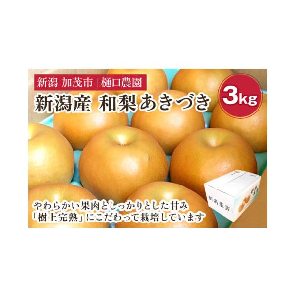容量3kg玉数の目安：5〜9玉消費期限商品到着後、お早めにお召し上がりください。冷暗所で保存（暖かい部屋などは避けて下さい）発送期日2026年9月15日〜2026年9月25日配送常温 別送申込期日2026年9月15日まで事業者樋口農園申込条...