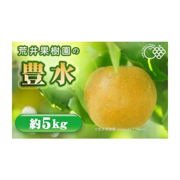 容量約5kg（5〜12玉）※生育状況により玉数は前後する可能性がございます。【数量限定：10セット】※本返礼品は2026年9月上旬〜中旬頃の「出荷予約の受付」です。※お申込時の決済手段は、『オンライン決済限定』となります。＜その他の払込方法...