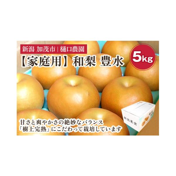 容量5kg玉数の目安：9〜14玉消費期限商品到着後、お早めにお召し上がりください。冷暗所で保存（暖かい部屋などは避けて下さい）発送期日2026年9月1日〜2026年9月25日配送常温 別送申込期日2026年9月10日まで事業者樋口農園申込条...