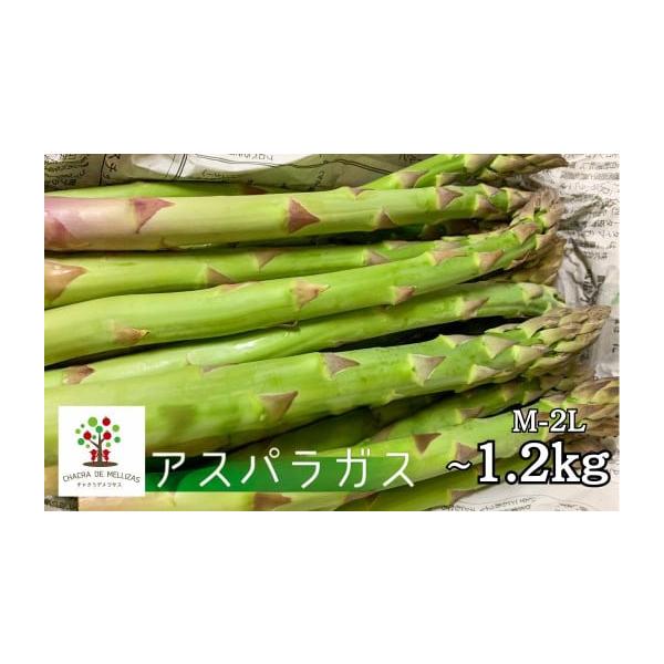 容量アスパラガスM-2L 450g消費期限冷蔵1週間から10日程度生鮮食品につきお早めにお召し上がり下さい。発送期日令和8年　5月以降順次発送（配送期間：5月から6月）配送冷蔵 時間指定 別送申込期日通年事業者CHACRA DE MELLI...