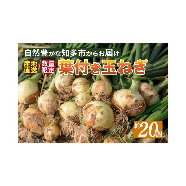 容量Lサイズ　約20個葉をつけておけば玉ねぎが日持ちします。（1週間程度）日の当たらない場所または冷蔵で保存をお願いいたします。個数は目安であり、商品の大きさにより異なる場合がありますが、ご了承ください。※お届け前に、出荷元より発送日につい...