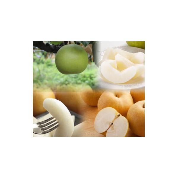 容量 3kg前後（3〜10玉前後）消費期限到着後4日程度※お早めにお召し上がりください。発送期日2026年8月下旬〜2026年12月に順次発送※不在日がありましたら、備考欄にご入力ください。配送常温 時間指定 別送申込期日2026年1月31...