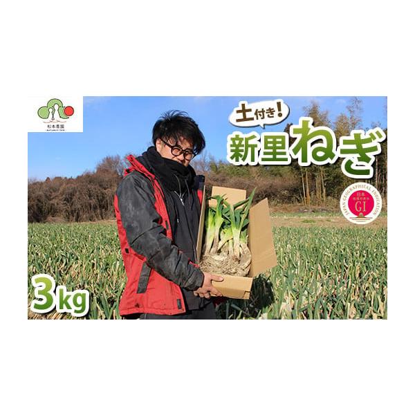 容量3kg発送期日14日以内に発送いたします配送常温 別送申込期日〜2026年2月28日事業者松本農園申込条件何度も申し込み可