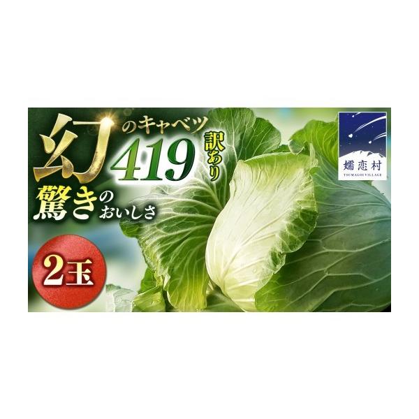 ふるさと納税 野菜類 群馬県 嬬恋村 7月中旬発送開始 訳あり まぼろし