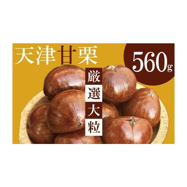 容量・天津甘栗560g（厳選大粒280g×2袋）・栗爪１個消費期限発送後１０日程度ですが、到着後はできるだけ早めにお召し上がりください。発送期日2025年11月頃より順次発送します。11月以降のお申し込みは決済から1ヶ月程度で発送。※店舗営...