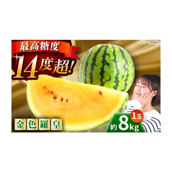 メロン 熊本県 山鹿市 先行予約 金色羅皇 スイカ 3L以上 1玉 約8kg 金色 黄色 すいか 野菜 フルーツ 果物 日本フルーツ株式会社 ZFJ008