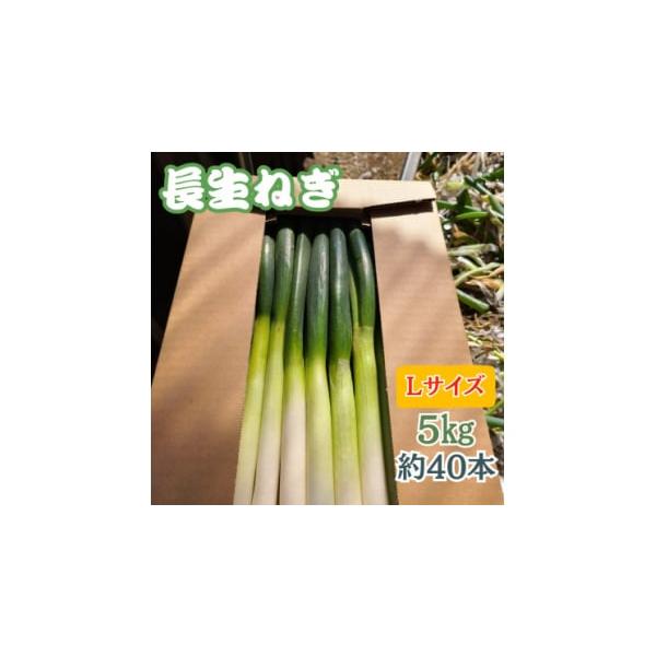 容量■お礼品の内容について・『長生ねぎ』Lサイズ　5kg[約40本]原産地:千葉県長柄町消費期限■賞味期限:出荷日+14日発送期日2025-12-01〜2026-03-31　※離島にはお届けできません。配送常温 別送申込期日〜2026-03...