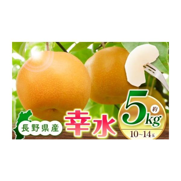 容量幸水5kg（10〜14玉）消費期限1週間（お早めにお召し上がりください）発送期日2026年8月20日頃〜9月中旬頃まで（青果物のため発送時期が前後いたします）配送冷蔵 別送申込期日〜2026年8月下旬まで事業者株式会社ベジサコ申込条件何...