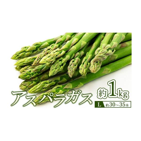 容量1kg入（Lサイズ約30〜35本）発送期日2026年4月下旬〜9月上旬頃に順次発送予定配送冷蔵 別送申込期日〜2026年8月31日事業者のんちゃん農園申込条件何度も申し込み可