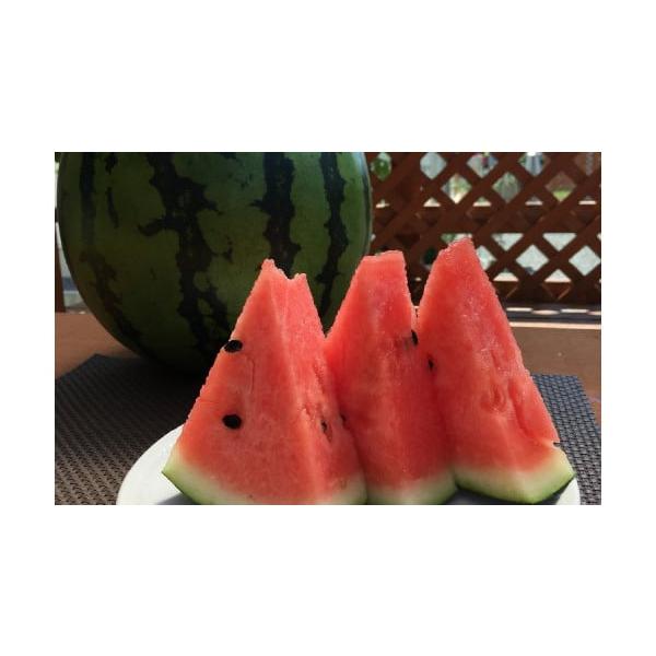 容量1玉（6kg以上）消費期限賞味期限：発送日から10日発送期日2026年4月下旬〜6月上旬迄順次発送予定配送常温 時間指定 別送申込期日2026年5月14日まで寄附受付事業者おのばる農園申込条件何度も申し込み可