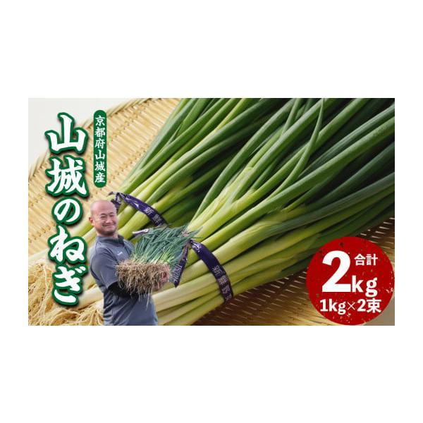 容量山城のねぎ　1kg×2束消費期限生鮮品ですのでなるべく早めにお召し上がりください発送期日ご入金確認後、順次発送配送冷蔵 時間指定 別送申込期日通年事業者株式会社　秋田農園申込条件何度も申し込み可