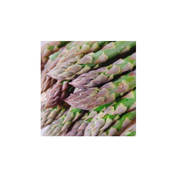 容量■お礼品の内容について・露地栽培グリーンアスパラガス[1kg]原産地:北海道富良野市■原材料・成分露地栽培グリーンアスパラガス消費期限■賞味期限:発送日から7日発送期日2026-05-10〜2026-06-26　※離島にはお届けできませ...