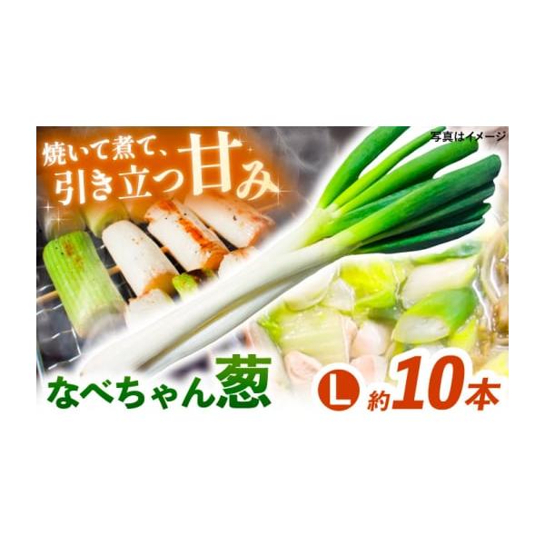 容量なべちゃん葱 Lサイズ2.5kg 約10本【原料原産地】島根県雲南市消費期限出荷から14日間発送期日2025年11月中旬〜2026年1月下旬　発送予定※発育状況により多少前後する場合がございます。あらかじめご了承ください。配送常温 時間...