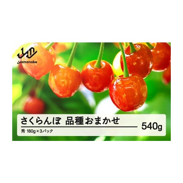 容量内容量:秀品 約540g(180g×3)品種：佐藤錦、紅秀峰、紅てまり、紅きらり、大正錦など※品種の指定は承っておりません。ご了承ください。消費期限発送後 3日以内※到着後はお早めにお召し上がりください。発送期日6月上旬頃から7月上旬頃...