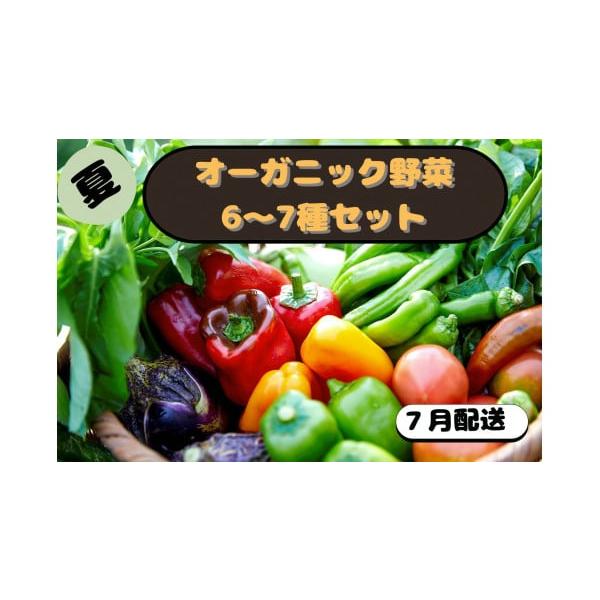 容量オーガニック野菜 6〜7品前後(種類はおまかせ、品数は目安です)消費期限【賞味期限】発送日より5日間【保存方法】10℃以下で保存※お野菜は乾燥に弱いため袋や新聞紙で包み、冷蔵庫や冷暗所にて保存ください。発送期日【配送可能期間】2026年...