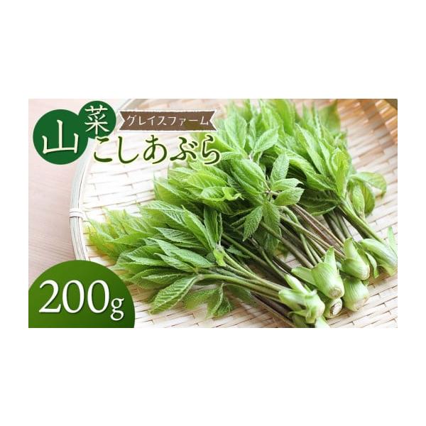 容量・コシアブラ（山菜）200g消費期限発送日より3日発送期日令和8年4月1日〜5月10日頃発送予定※天候や生育状況により、発送期間が前後する場合がございます。※お届け日のご指定はできません。配送冷蔵 時間指定 別送申込期日令和8年4月20...