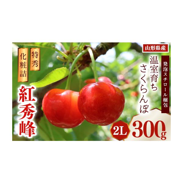 容量2026年産（令和8年産）山形県産さくらんぼ「紅秀峰」特秀品 2Lサイズ300g 化粧詰 （発泡スチロール梱包）※こちらの品は、のし・ラッピング対応はできません。※糖度保証品ではありません。糖度には個体差があります。※パッケージが変更と...