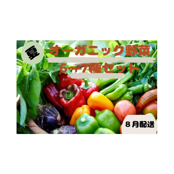 容量オーガニック野菜 6〜7品前後(種類はおまかせ、品数は目安です)消費期限【賞味期限】発送日より5日間【保存方法】10℃以下で保存※お野菜は乾燥に弱いため袋や新聞紙で包み、冷蔵庫や冷暗所にて保存ください。発送期日【配送可能期間】2026年...