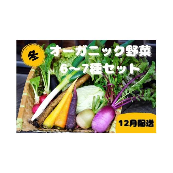 容量オーガニック野菜 6〜7品前後(種類はおまかせ、品数は目安です)消費期限【賞味期限】発送日より5日間【保存方法】10℃以下で保存※お野菜は乾燥に弱いため袋や新聞紙で包み、冷蔵庫や冷暗所にて保存ください。発送期日【配送可能期間】2026年...
