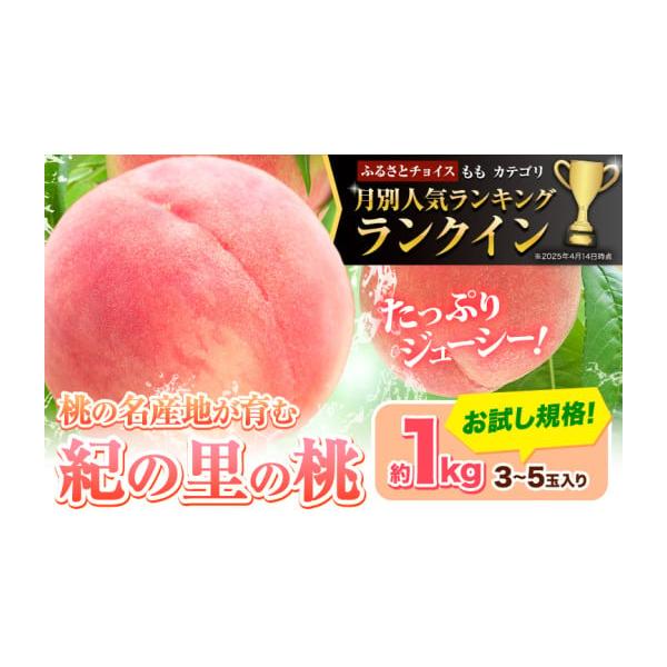 容量約1kg(3-5玉)消費期限お早めにお召しあがりください。発送期日6月中旬-8月中旬頃出荷配送冷蔵 時間指定 別送申込期日7月中旬頃まで(予定数に達し次第終了)事業者JA紀の里申込条件何度も申し込み可、オンライン決済限定