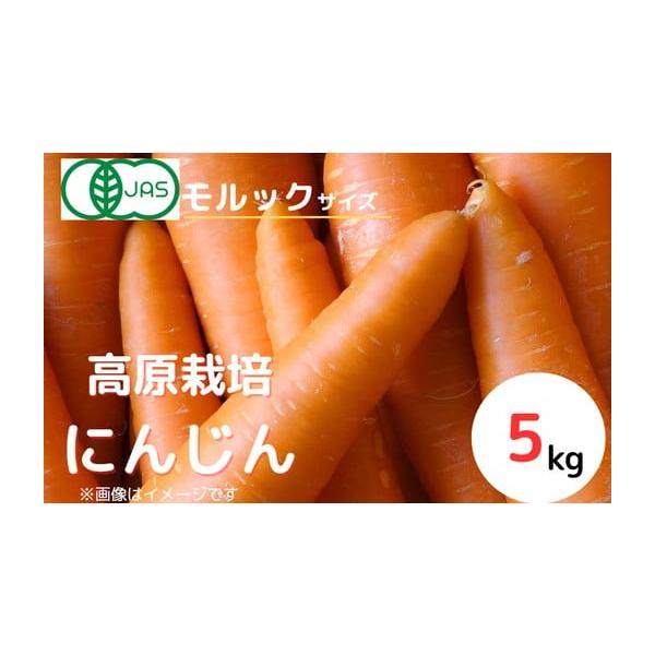 容量・にんじん（紅奏）5kg※葉はカットしています。※洗った状態での発送を予定しております。消費期限賞味期限：2週間（14日）程度発送期日2026年12月上旬〜2027年2月上旬頃に順次発送配送常温 別送申込期日〜2026年11月30日事業...