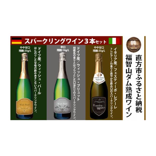ふるさと納税 ワイン セット 福岡県 直方市 通常3本セット FD323 福智
