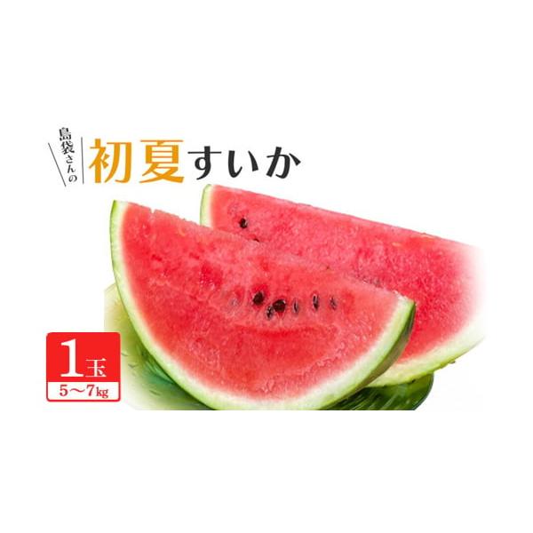 容量■お礼品の内容について・夏スイカ大玉[1玉(5.0〜7.0kg)]原産地:沖縄県国頭村消費期限■賞味期限:出荷日+5日(冷蔵庫で冷やしてお召し上がりください)※到着後、すぐにお礼品の状態をご確認のうえ、お早めにお召し上がりください。発送...