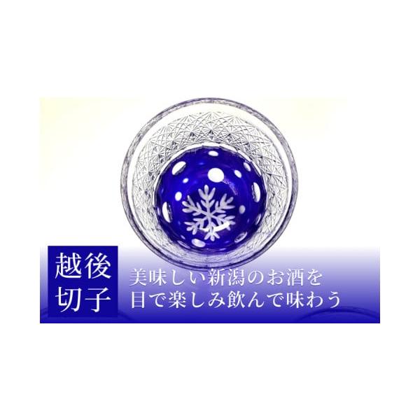 ふるさと納税 陶磁器・漆器・ガラス 新潟県 湯沢町 越後切子 ぐい呑み