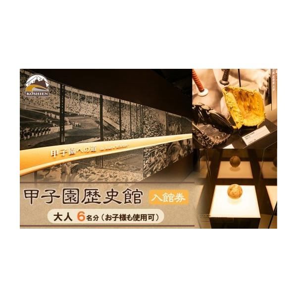 ふるさと納税 入場券・優待券 兵庫県 西宮市 甲子園歴史館の入館券(大人6名分)