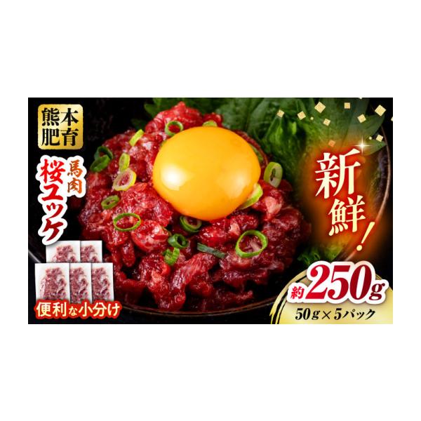 ふるさと納税 馬肉 熊本県 合志市 令和8年熊本地震復興支援 馬肉 さくらユッケ 50g×5パック 計250g お肉 桜ユッケ 赤身 生食 小分け 冷凍 馬肉 桜肉 ユッケ …